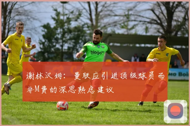 谢林汉姆：曼联应引进顶级球员而非M费的深思熟虑建议